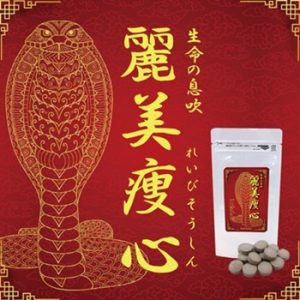 レイビソウシン